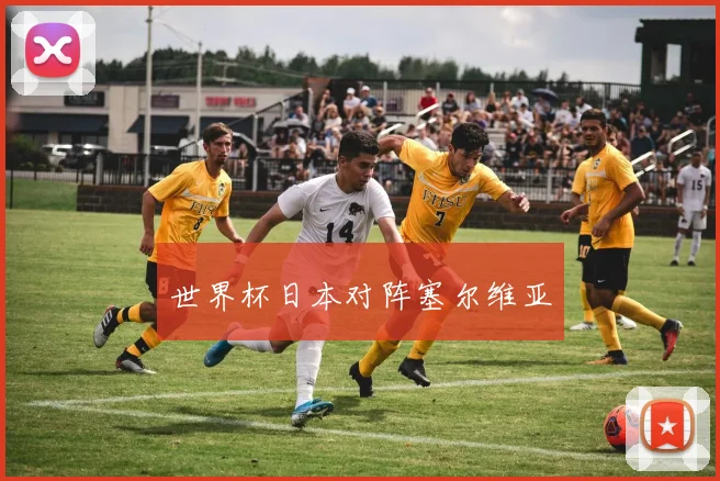 世界杯日本对阵塞尔维亚