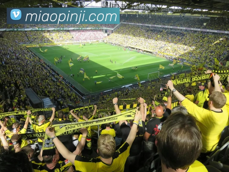 球盟会在线登录官网 - 球盟会(中国)平台生态图